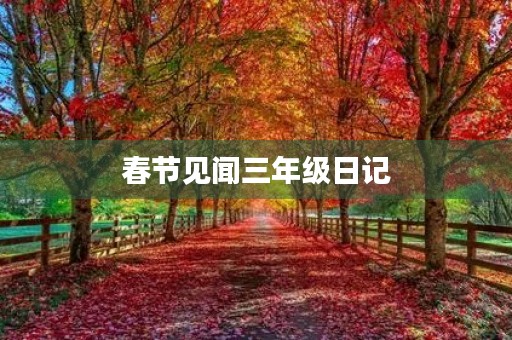 春节见闻三年级日记