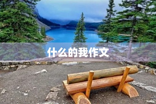 什么的我作文 什么的我作文