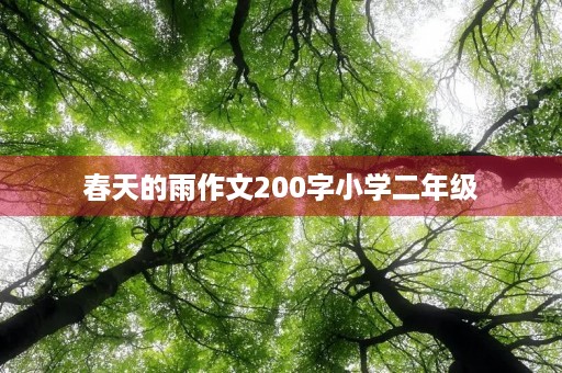 春天的雨作文200字小学二年级