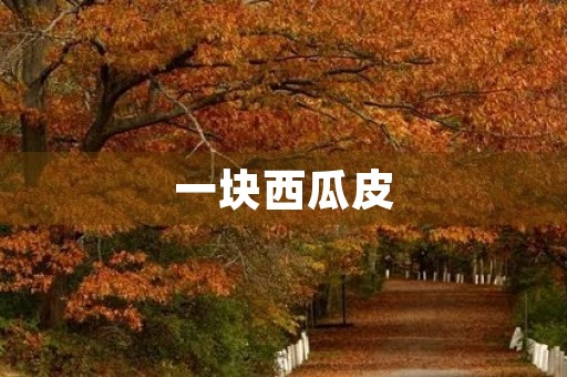 一块西瓜皮 一块西瓜皮