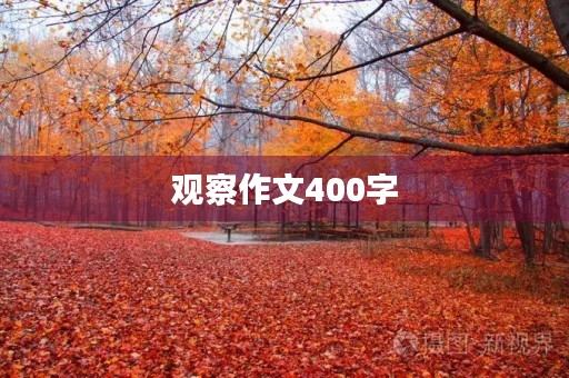 观察作文400字 观察作文400字