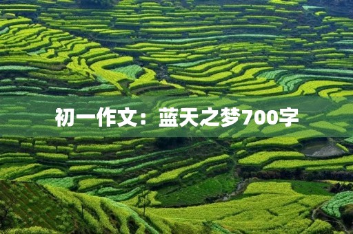 初一作文:蓝天之梦700字 初一作文:蓝天之梦700字