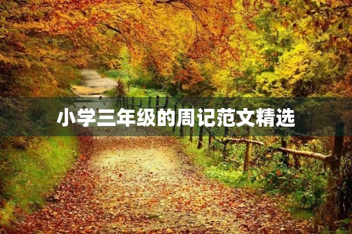 小学三年级的周记范文精选 小学三年级的周记范文精选