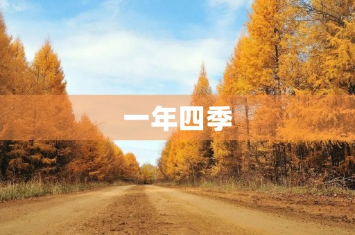 一年四季 一年四季