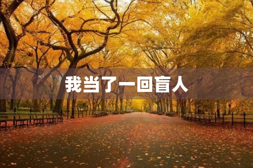 我当了一回盲人