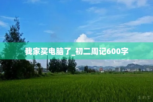 我家买电脑了_初二周记600字 我家买电脑了_初二周记600字