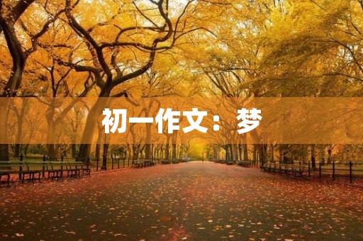 初一作文:梦 初一作文:梦
