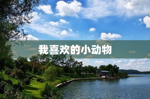 我喜欢的小动物 我喜欢的小动物