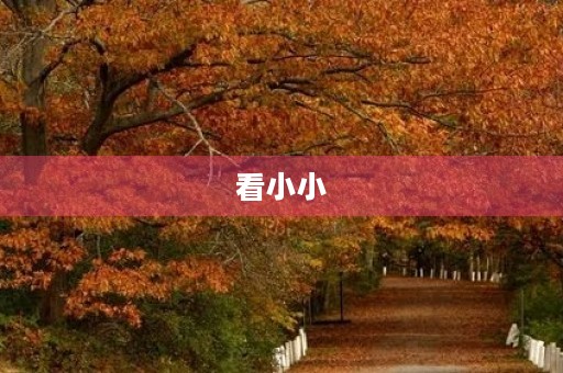 看小小