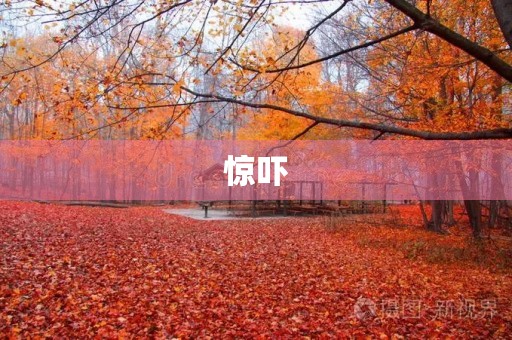 惊吓 惊吓