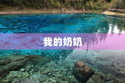 我的奶奶 我的奶奶