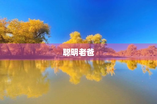 聪明老爸 聪明老爸
