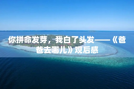 你拼命发芽,我白了头发——《爸爸去哪儿》观后感 你拼命发芽,我白了头发——《爸爸去哪儿》观后感