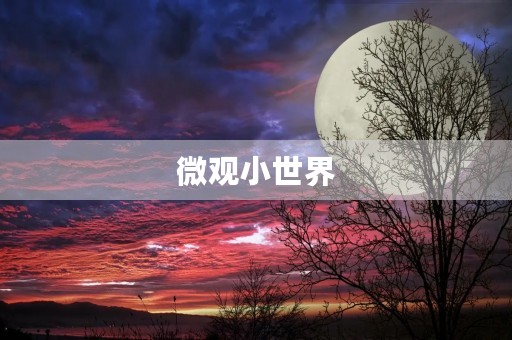 微观小世界 微观小世界