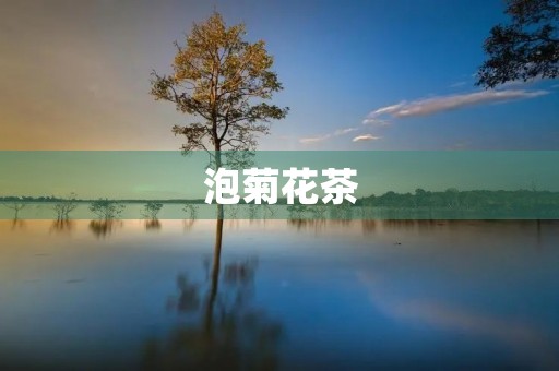 泡菊花茶