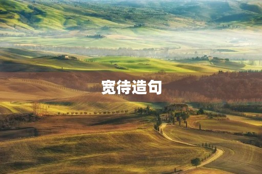 宽待造句