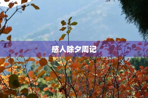 感人除夕周记