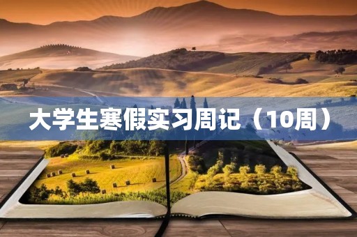 大学生寒假实习周记(10周) 大学生寒假实习周记(10周)