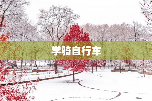 学骑自行车 学骑自行车