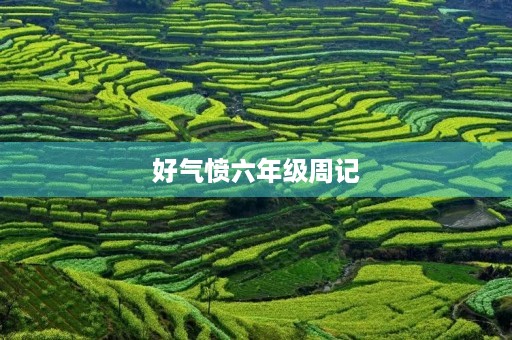 好气愤六年级周记