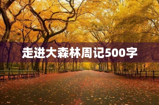 走进大森林周记500字
