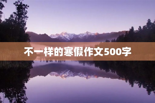 不一样的寒假作文500字 不一样的寒假作文500字