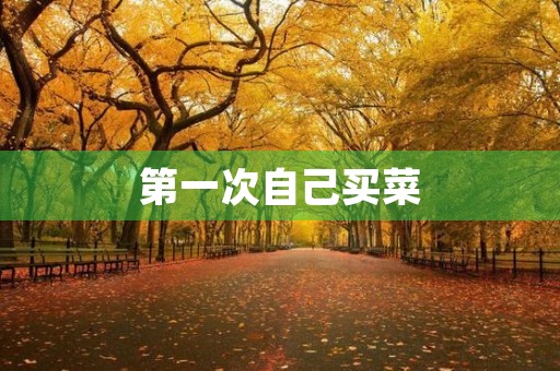 第一次自己买菜 第一次自己买菜