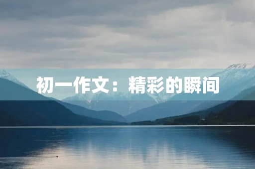 初一作文:精彩的瞬间 初一作文:精彩的瞬间