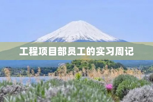 工程项目部员工的实习周记 工程项目部员工的实习周记