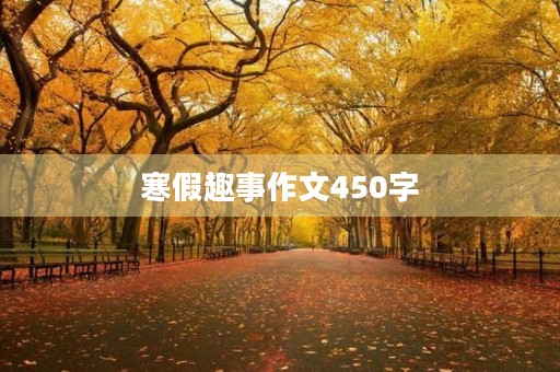 寒假趣事作文450字