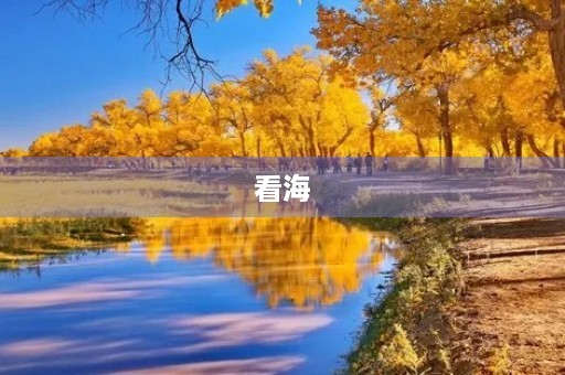 看海 看海
