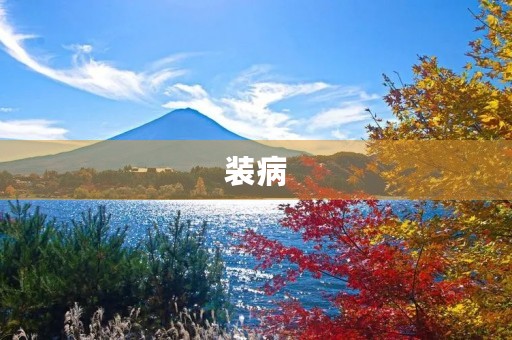 装病 装病