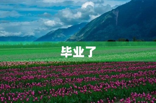 毕业了 毕业了