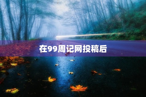 在99周记网投稿后 在99周记网投稿后