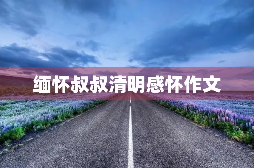 缅怀叔叔清明感怀作文