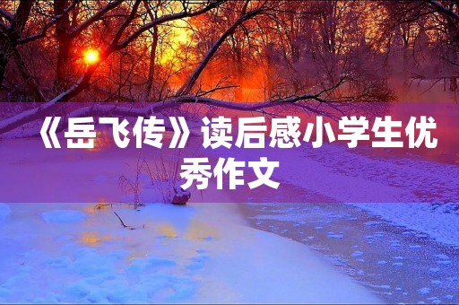 《岳飞传》读后感小学生优秀作文