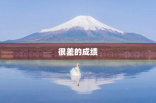 很差的成绩 很差的成绩