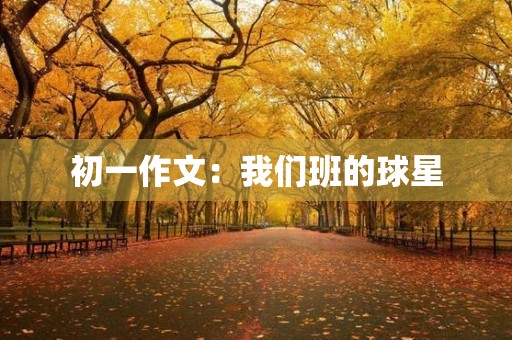 初一作文：我们班的球星
