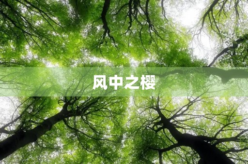 风中之樱