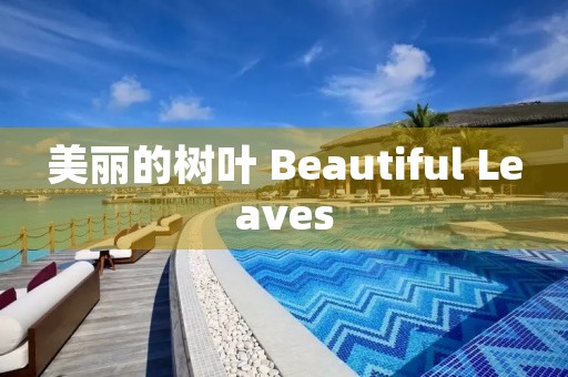 美丽的树叶 Beautiful Leaves