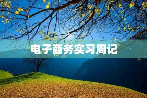 电子商务实习周记