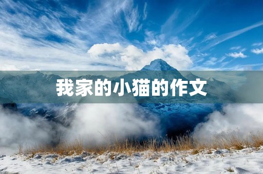 我家的小猫的作文 我家的小猫的作文
