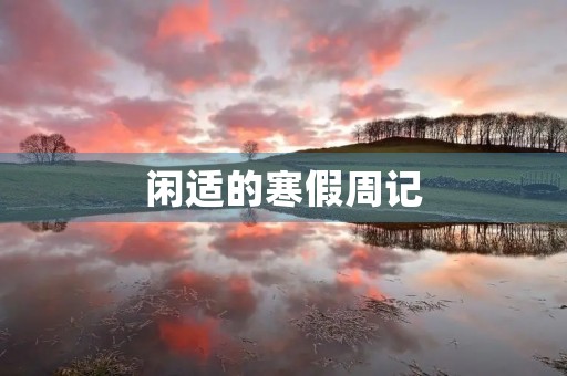 闲适的寒假周记