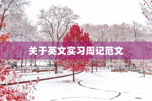 关于英文实习周记范文 关于英文实习周记范文