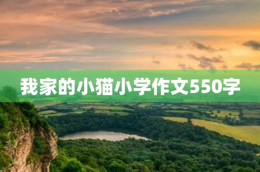 我家的小猫小学作文550字