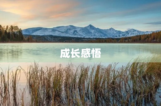 成长感悟