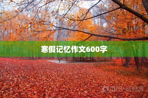 寒假记忆作文600字 寒假记忆作文600字