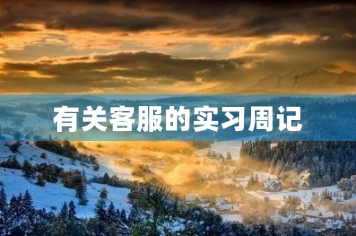 有关客服的实习周记