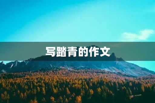 写踏青的作文
