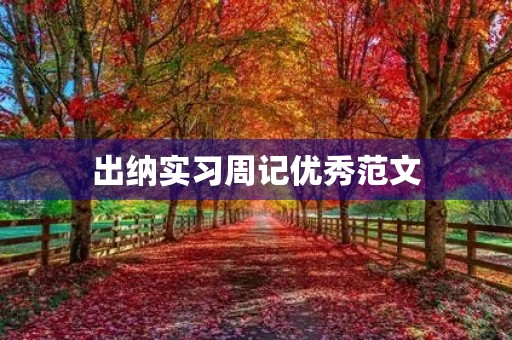 出纳实习周记优秀范文